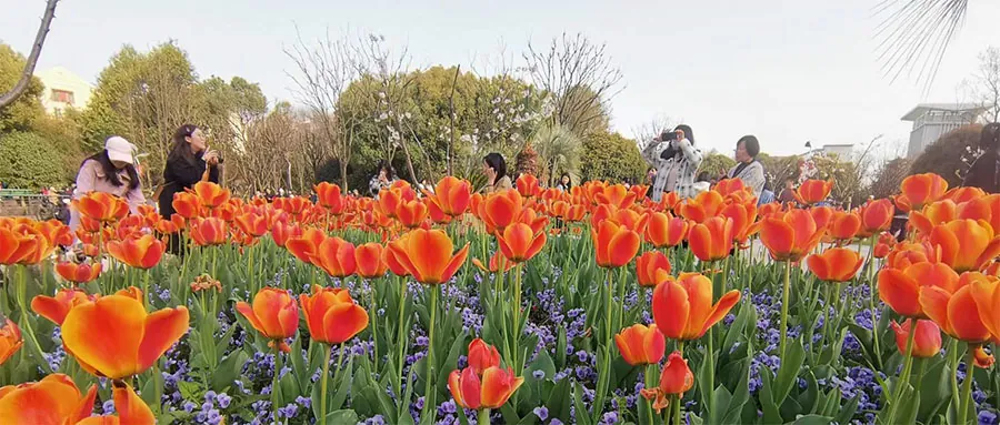 Featured image for 欲望之下的软肋与痛苦