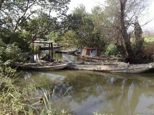 /travel/yangcheng-lake-crab-trip/assets/boxcn21XxbIQl9ZRHRzyDiYHMLc.webp