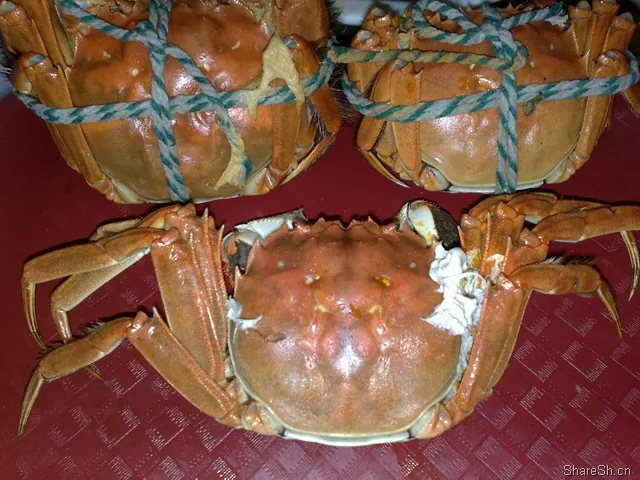 /travel/yangcheng-lake-crab-trip/assets/boxcn2FLskFe84cp2LMOPrFbzac.webp