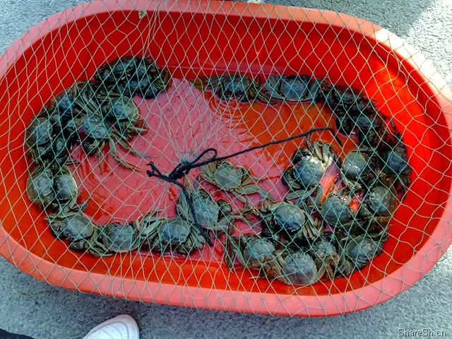 /travel/yangcheng-lake-crab-trip/assets/boxcn4dZaiXv7XKDfTjnVUcDtae.webp