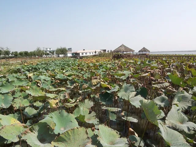 /travel/yangcheng-lake-crab-trip/assets/boxcn6ZsadbuyrzTcxK04ANFNGb.webp