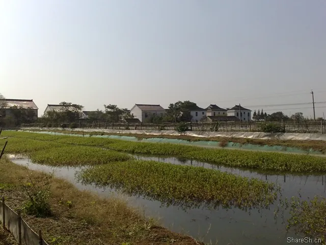 /travel/yangcheng-lake-crab-trip/assets/boxcn7QsDiBvH7KQeet6i4ges8k.webp