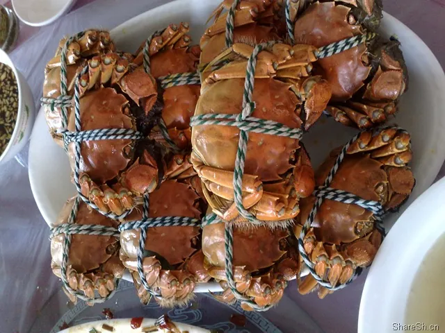 /travel/yangcheng-lake-crab-trip/assets/boxcn8f0oBIn8osGL2X27GXsbTd.webp