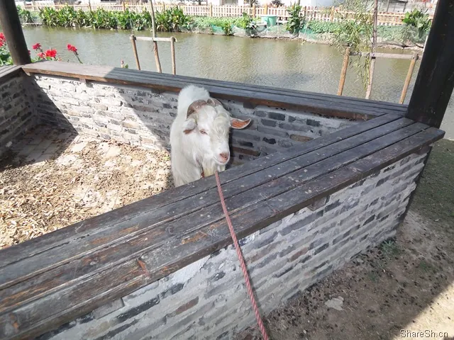 /travel/yangcheng-lake-crab-trip/assets/boxcnBFqrvkBTpkvLmtLelWbKjc.webp