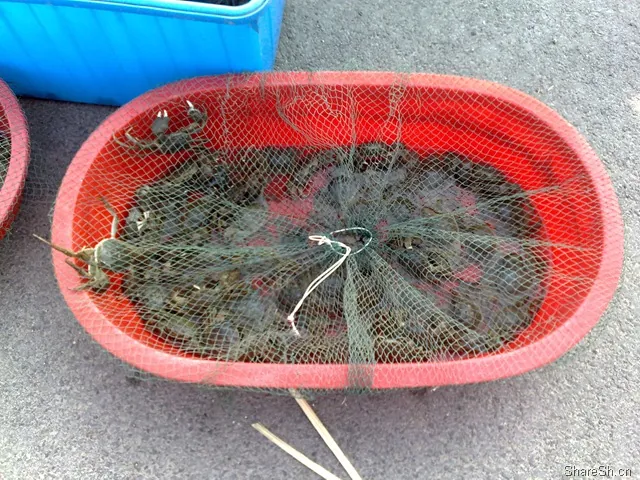 /travel/yangcheng-lake-crab-trip/assets/boxcnBZ2l5GB8qLK1BptF9LYwCe.webp