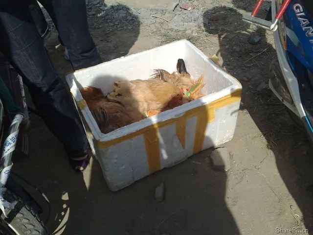 /travel/yangcheng-lake-crab-trip/assets/boxcnFjEfgBIl7IUOv95h5VZyFc.webp