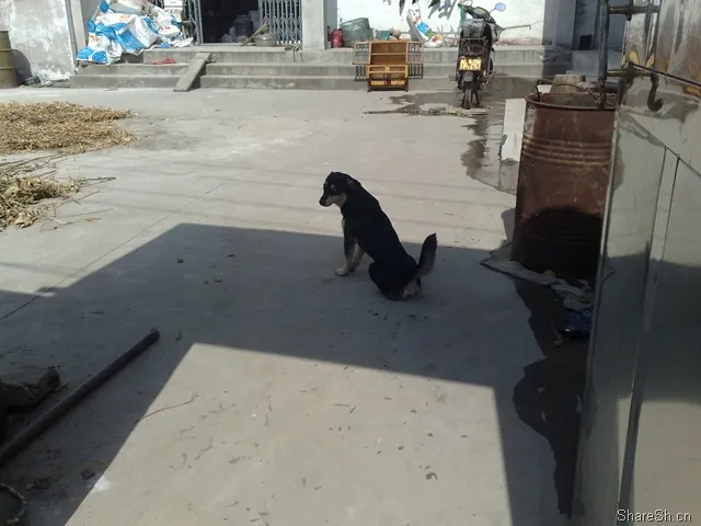 /travel/yangcheng-lake-crab-trip/assets/boxcnKTSoe34k466CjB38eqGSWg.webp