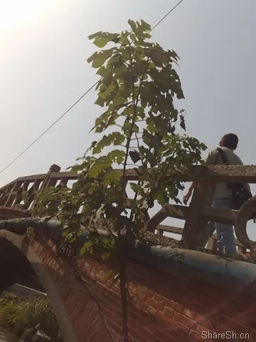 /travel/yangcheng-lake-crab-trip/assets/boxcnLDWYXOSfAmMkcoZX9h1YZc.webp