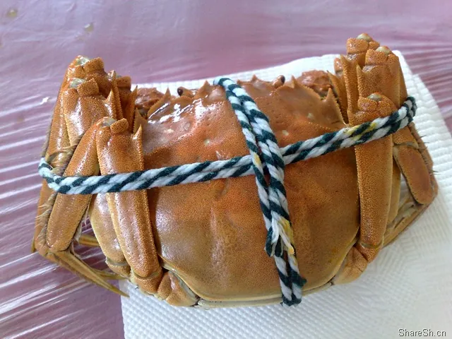 /travel/yangcheng-lake-crab-trip/assets/boxcnT5r0UvFHKGlGLNIOGM2gbh.webp