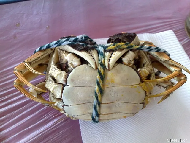 /travel/yangcheng-lake-crab-trip/assets/boxcnUadpQ0iecj8N3uD0wHcCqe.webp