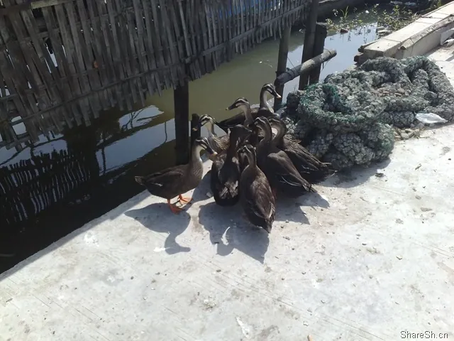 /travel/yangcheng-lake-crab-trip/assets/boxcnbctlYA5LRP5g2DaWEmkUZc.webp