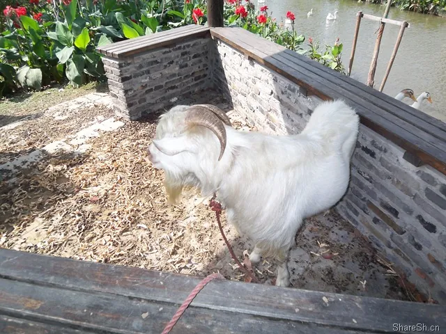 /travel/yangcheng-lake-crab-trip/assets/boxcngtvuKLHsRLyKaq3GsH7lXd.webp