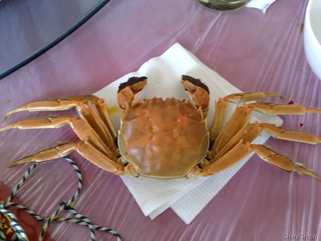 /travel/yangcheng-lake-crab-trip/assets/boxcnnrKr9Rvw6APZrgEj75x1xh.webp