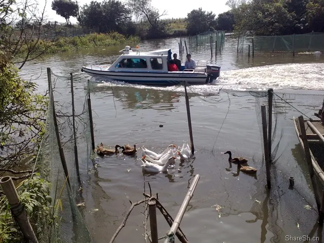 /travel/yangcheng-lake-crab-trip/assets/boxcnrIoZeQKbNbWybT36CA9afb.webp
