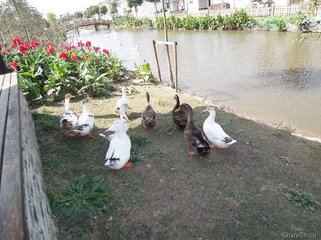 /travel/yangcheng-lake-crab-trip/assets/boxcntSDq2lODyRmeqAVm54r2Ie.webp