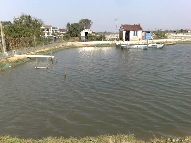 /travel/yangcheng-lake-crab-trip/assets/boxcntnFmkF4sJFmgGL3mRTxEzU.webp
